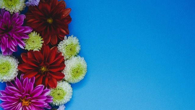 老鹰终结勇士连胜，将对阵10连败的热火.