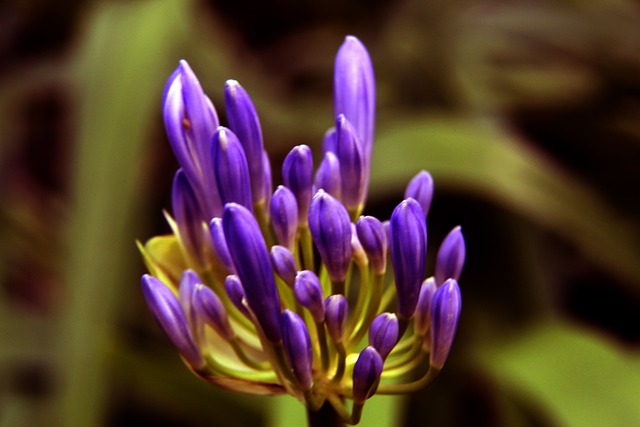 但他凭借 但他凭借