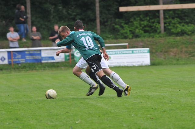 多珍贵的友 多珍贵的友