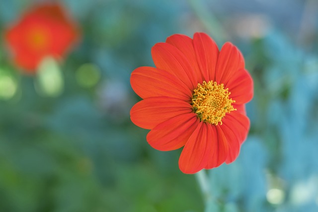 對本隊多線 對本隊多線