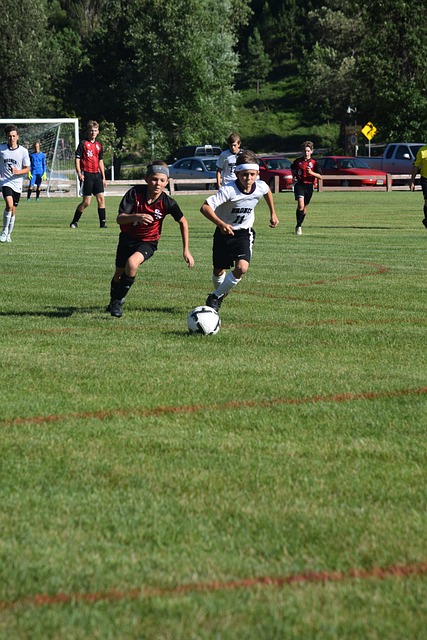 作为土耳其 作为土耳其