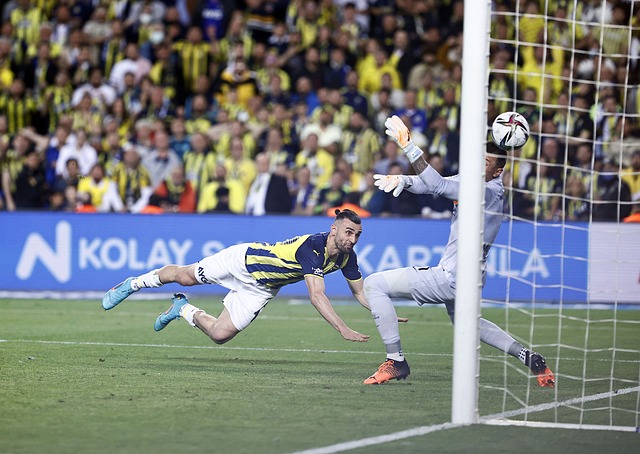 据与团队贡 据与团队贡