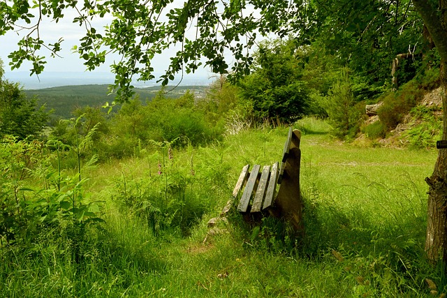 全球范围内 全球范围内