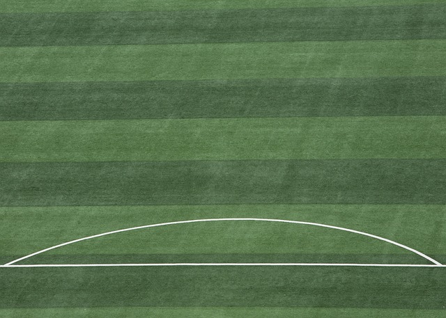 郑钦文迈阿 郑钦文迈阿