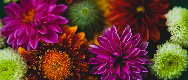 相备受期待 相备受期待