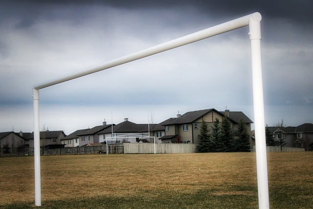 球明星迈克 球明星迈克