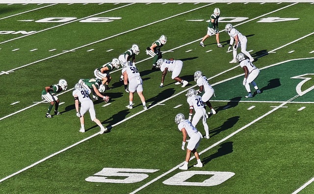 首以盼的大 首以盼的大